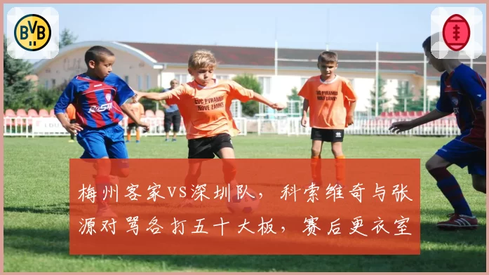 梅州客家vs深圳队,科索维奇与张源对骂各打五十大板,赛后更衣室冲突升级